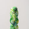 Gusto Wool Nokta Yarn 1204